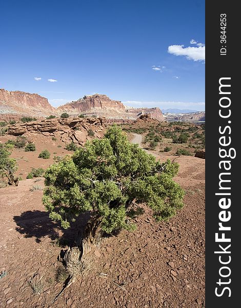 Scenic views of Capitol Reef National Park