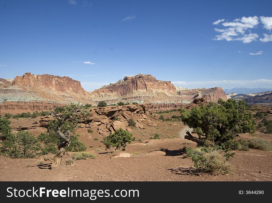 Capitol Reef National Park