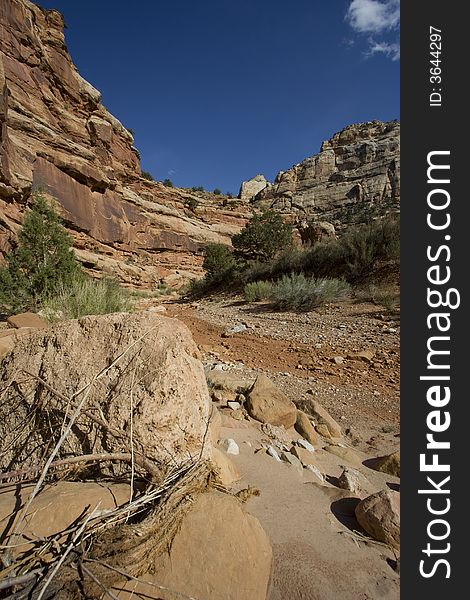 Capitol Reef National Park