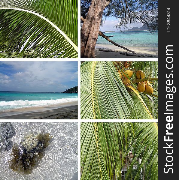 Tropical installation. Seychelles. The collection of photos.