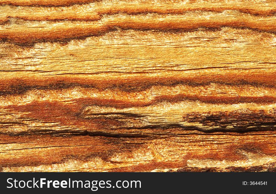 Colorful wood texture