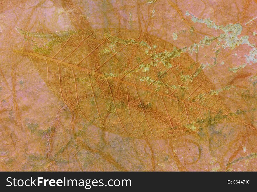 Grunge style background with leaf imprint. Grunge style background with leaf imprint
