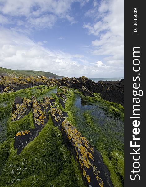 Rugged Coastline In Ireland