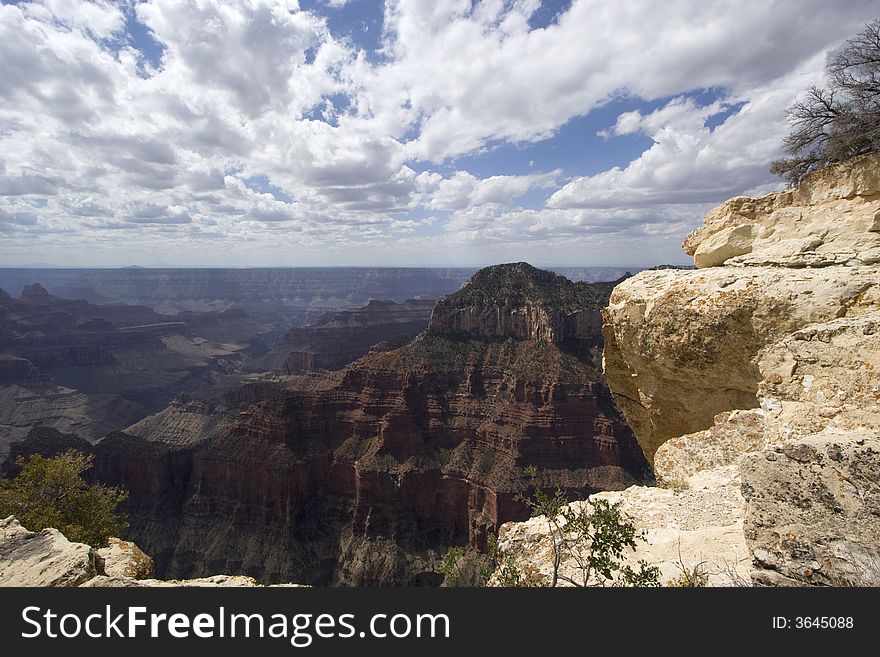 Views of The Grand Canyon, North Rim