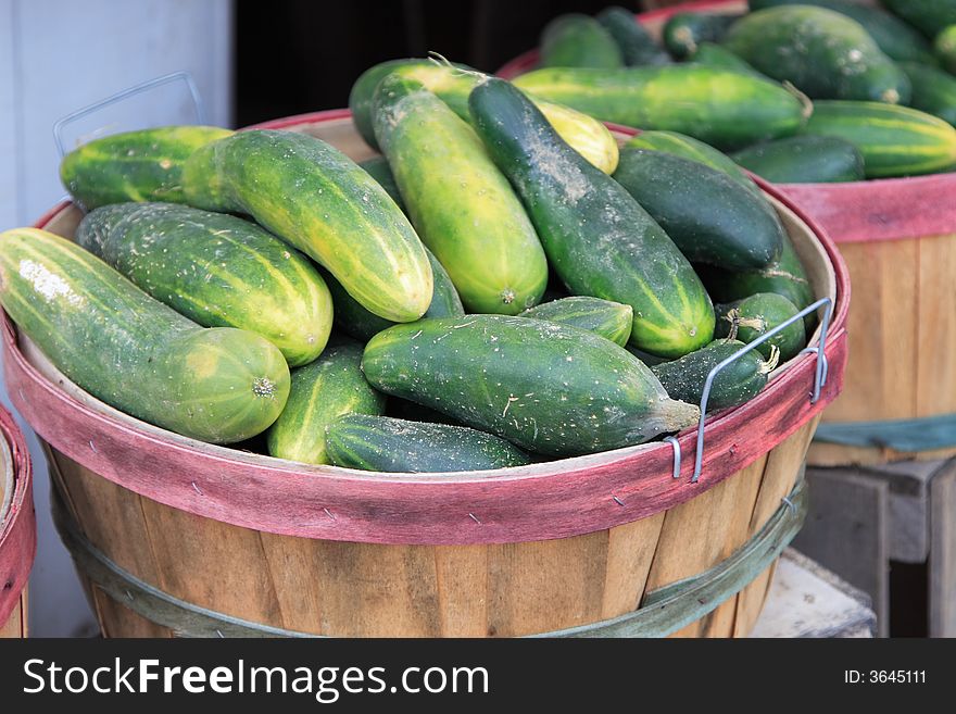 Fresh picked cucumbers in baskets at a road side farm stand