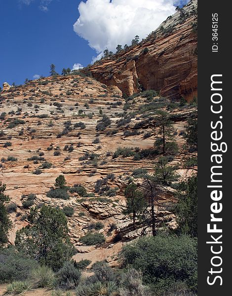 Scenic views of Zion National Park, USA