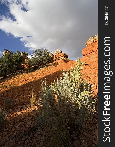 View of Zion National Park at sunset