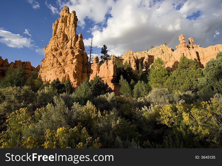 Scenic view of Dixie National Forest at Sunset