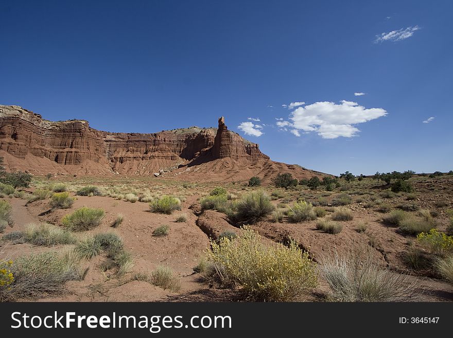 Capitol Reef National Park