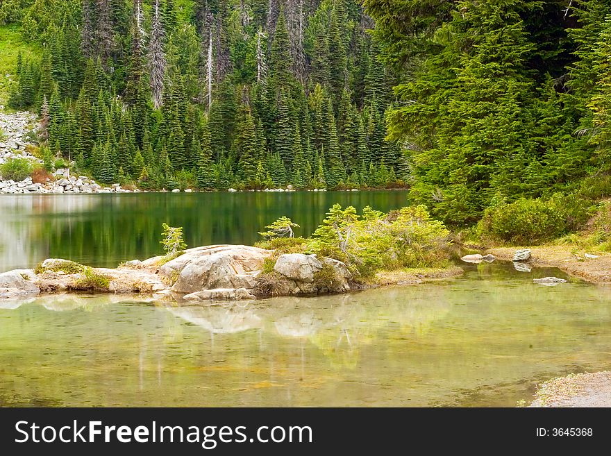 Clear lake with the fir trees in background. Clear lake with the fir trees in background