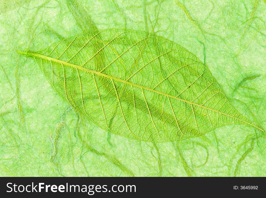 Grunge style background with leaf imprint