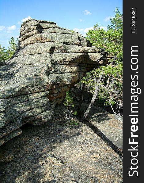 Image with a rock and pines