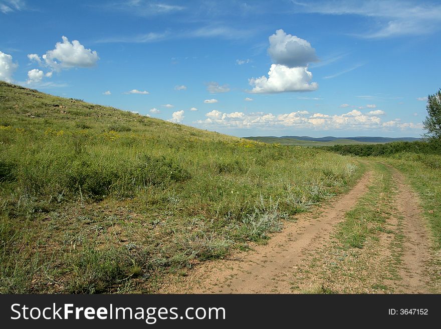 Road to steppes among a grass