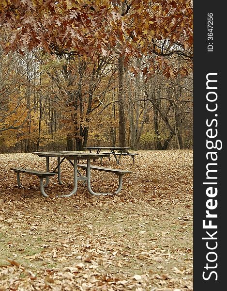 Picnic Area