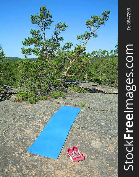 Tourist carpet on stone in forest. Tourist carpet on stone in forest