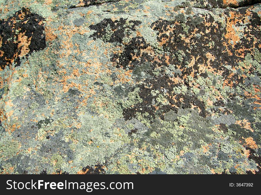 Fragment of stone with the spots of color lichen