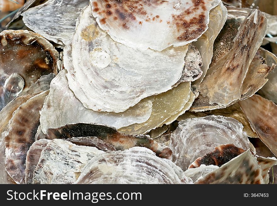 Bunch of empty oyster shells for decoration