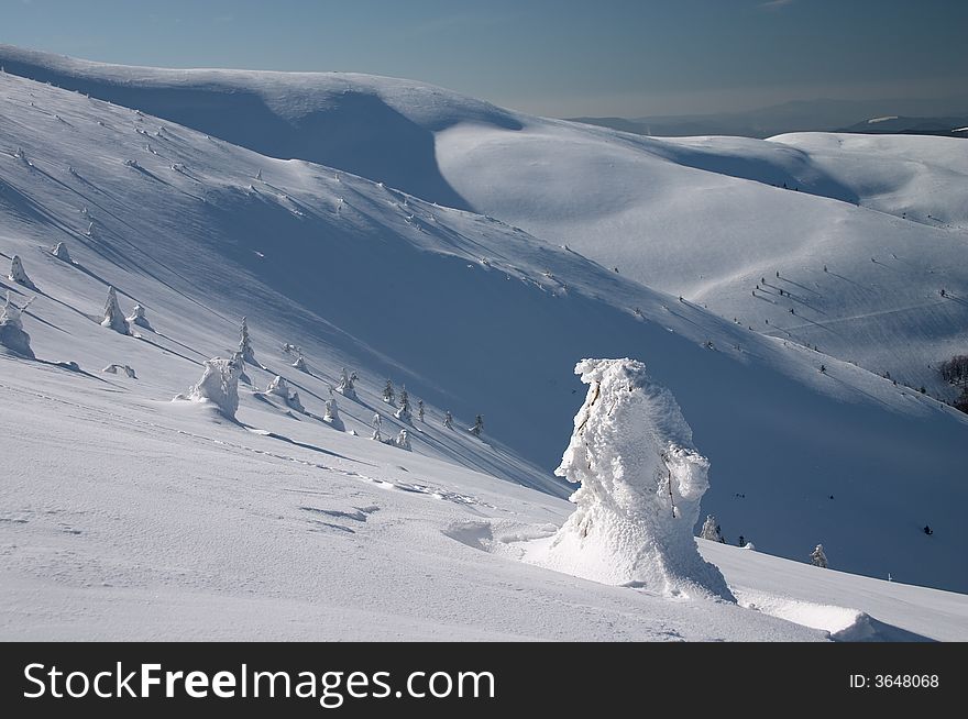 Dramatic winter landscape with snow covered trees