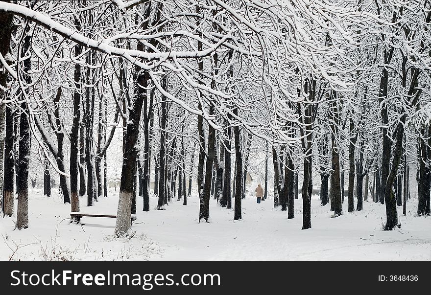 An image of cover of snow in a park. An image of cover of snow in a park