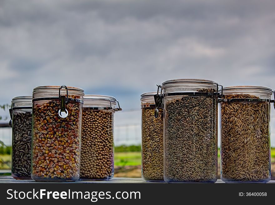 Jars of assorted seeds and grains