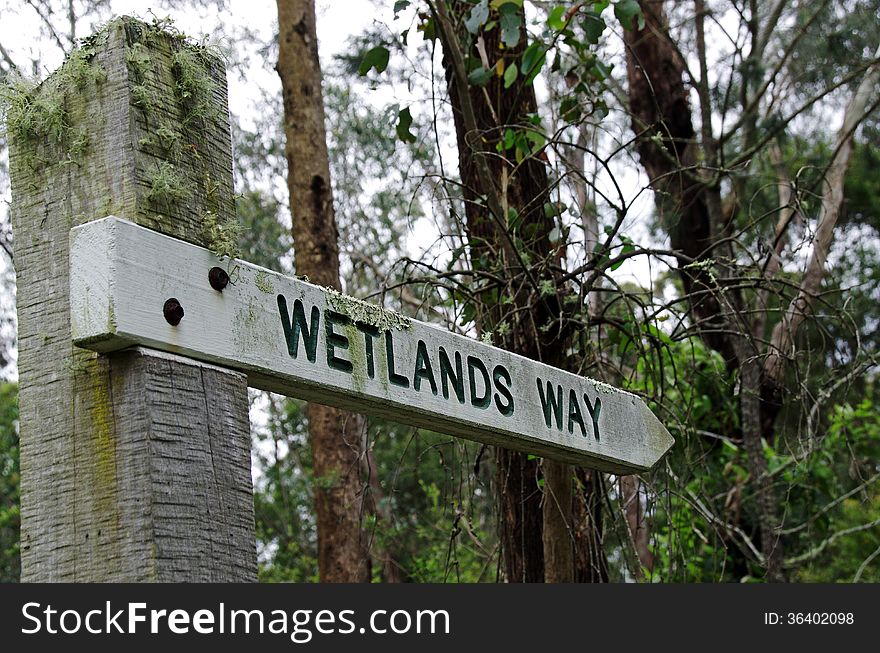 Wetlands walkway sign in a forest setting. Wetlands walkway sign in a forest setting