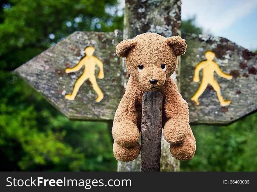 Whimsical picture of a teddy bear sitting on a rural signpost with two directions. Whimsical picture of a teddy bear sitting on a rural signpost with two directions.