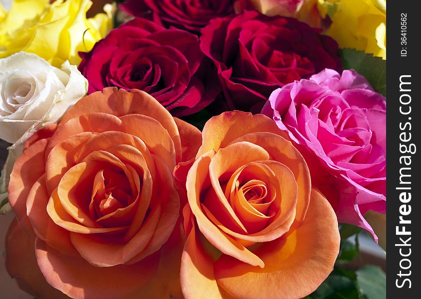 A closeup of the bouquet of roses