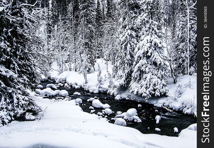 Russian Wild Winter