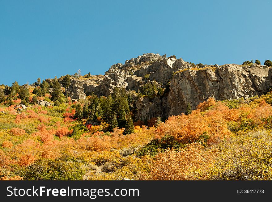 Rugged rocks surrounded by fall foliage.