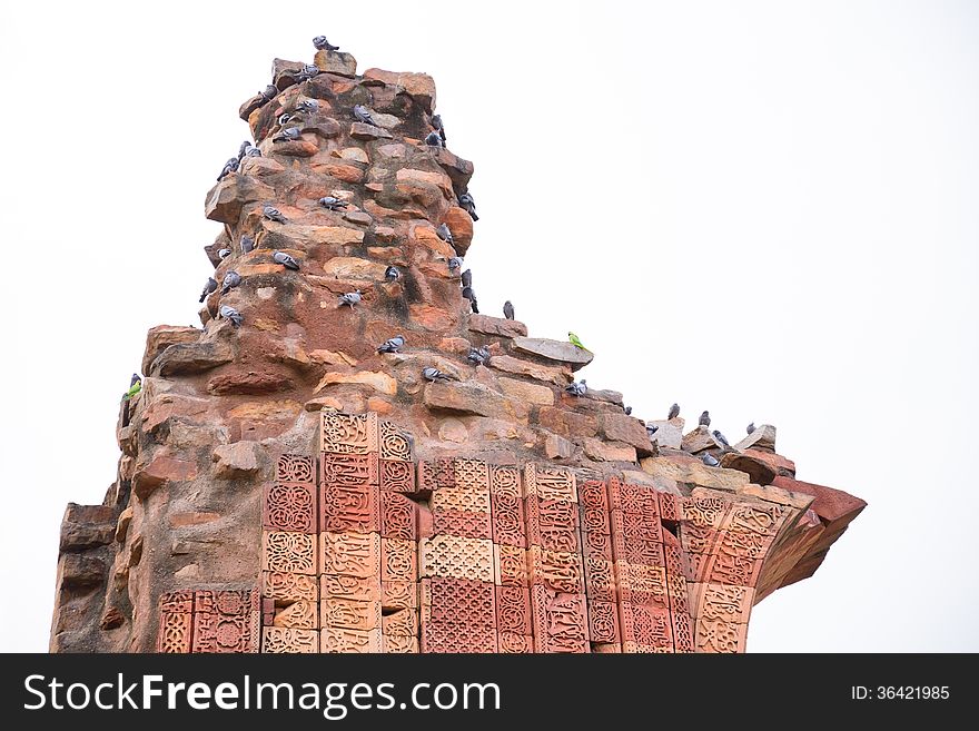 Birds standing on broken pillar in Qutub Minar