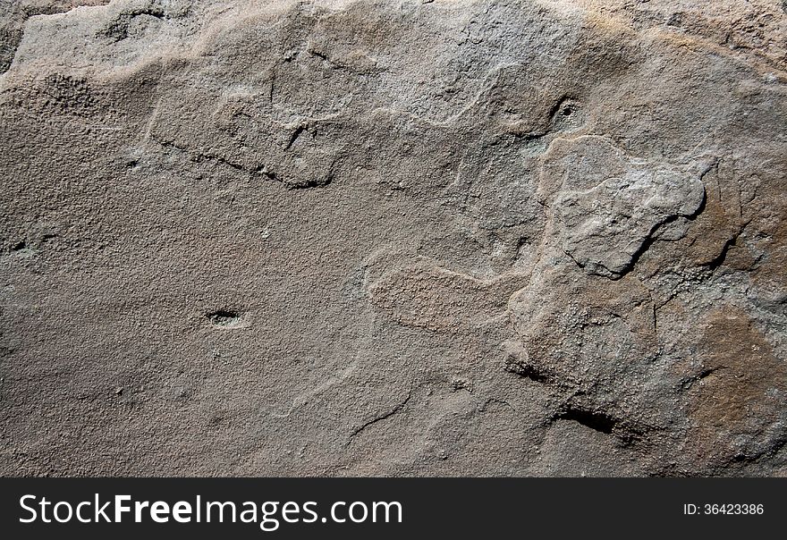 Detailed texture of a grey rock surface. Detailed texture of a grey rock surface