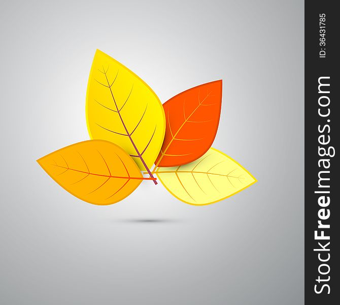 Colorful Vector Orange Autumn Leaves Isolated on Grey Background