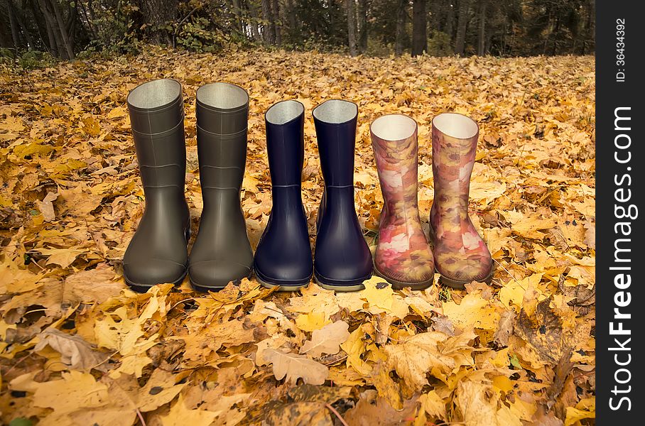 Green, dark blue and red rubber boots on the fallen leaves.