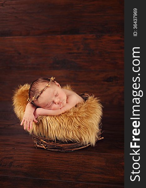 A two week old newborn baby sleeping in a twig basket and wearing a twig crown. A two week old newborn baby sleeping in a twig basket and wearing a twig crown.