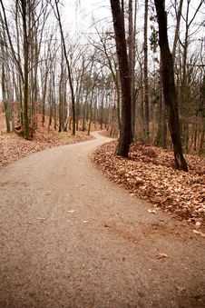 Path In The Woods Stock Photo Path In The Woods Stock Photo