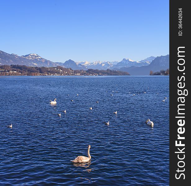 Lake Lucerne, Switzerland in winter