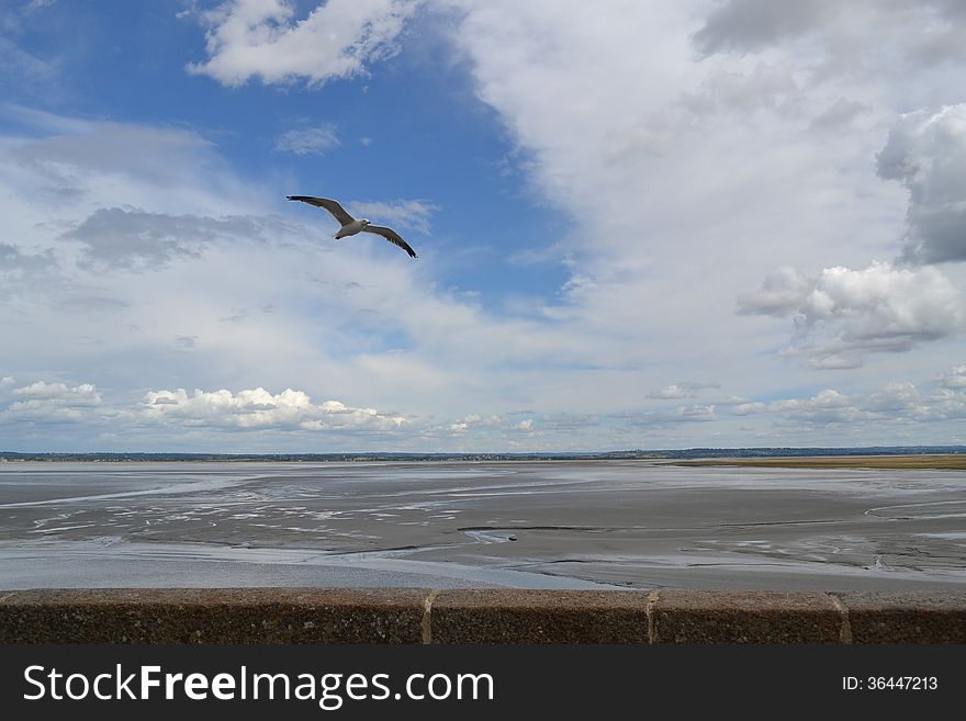 Seagull Flying Infront Of Mont Saint Michel Island