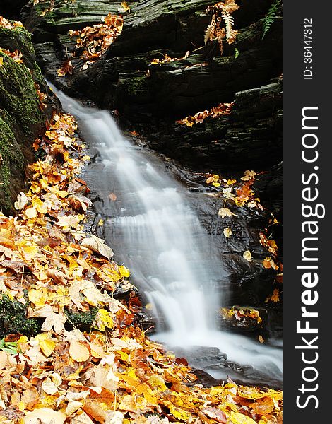 Little Waterfall With Colorful Leaves, Autumn In The Nature