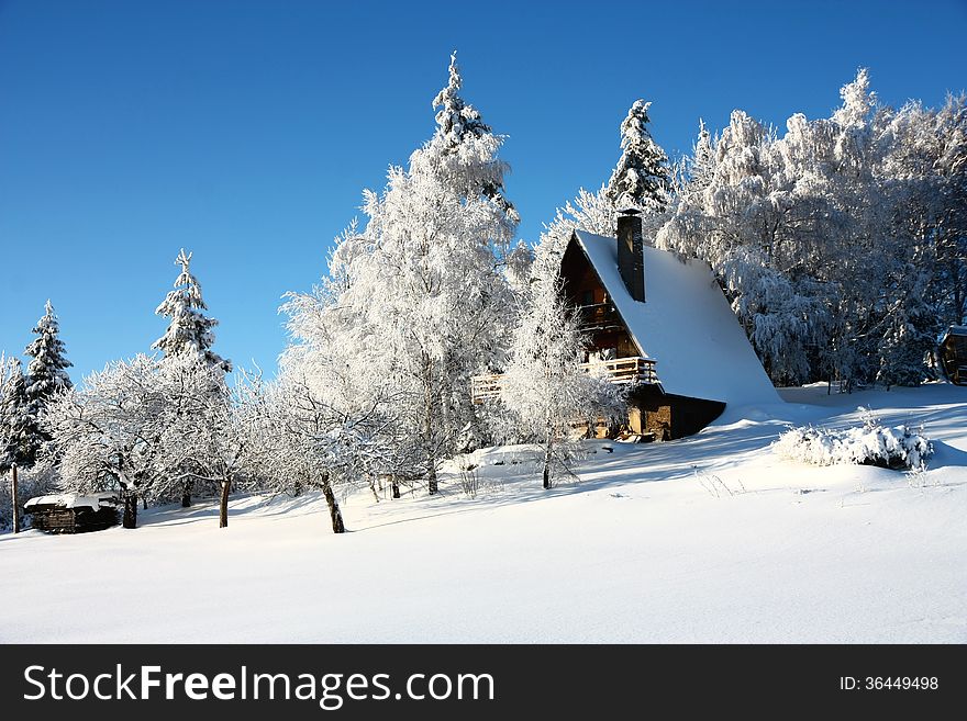 Cottage among trees coated in snow. Cottage among trees coated in snow