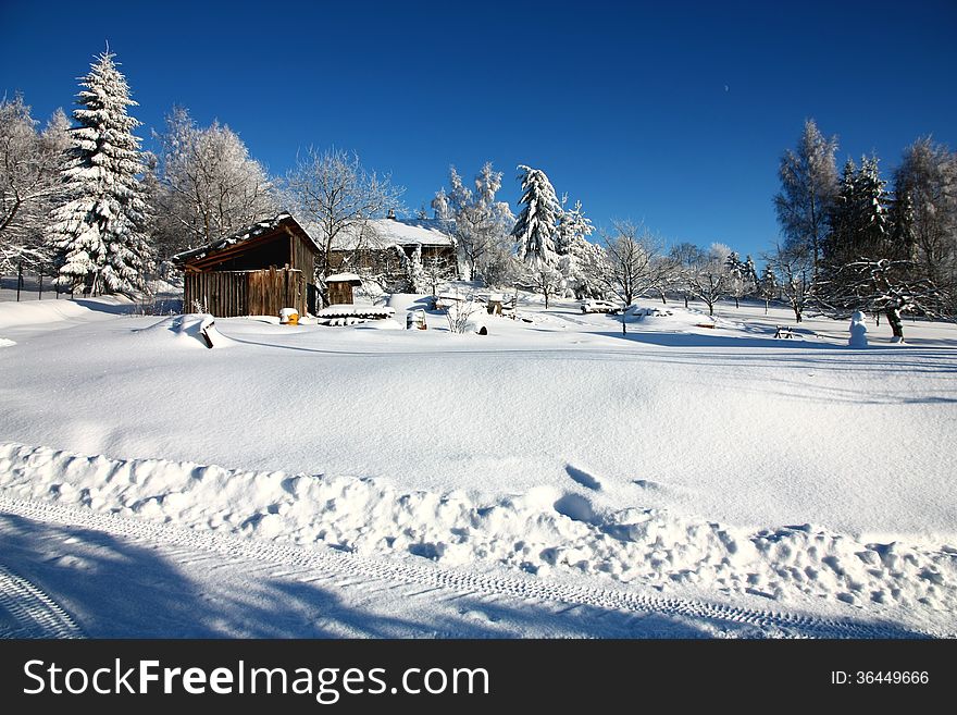 Cottage and garden in winter. Cottage and garden in winter