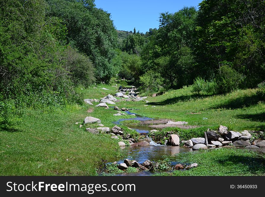 Narrow river between the trees