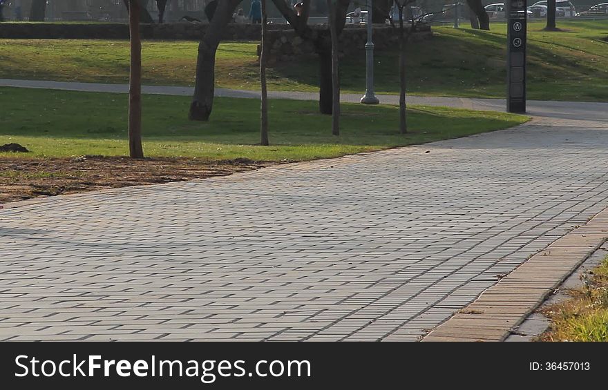 Mother With Stroller Walks In The Park