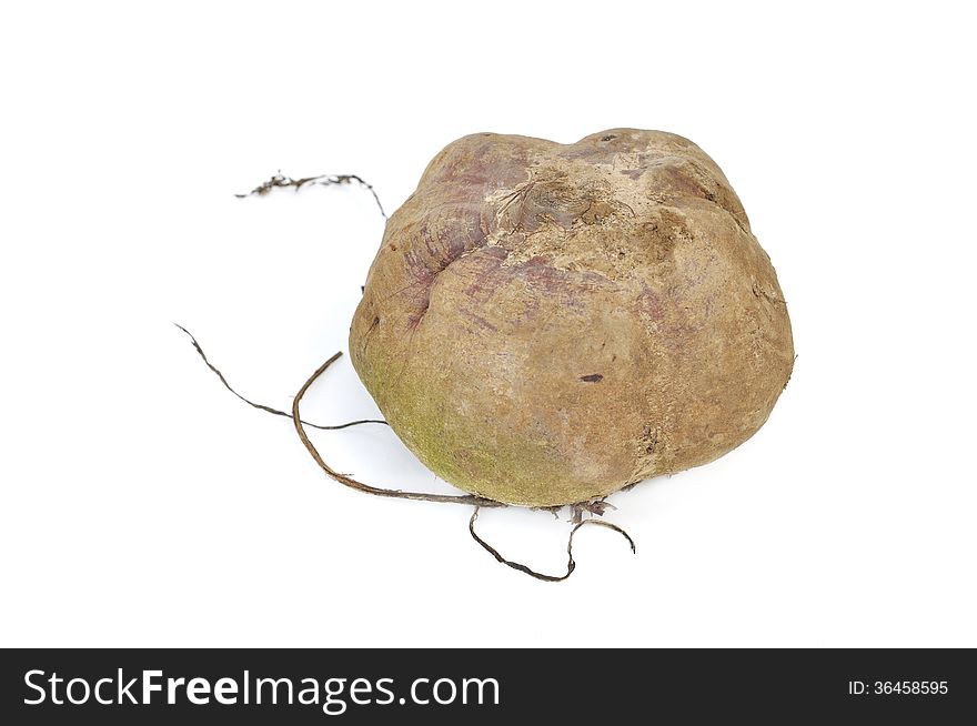 Large raw beet on white background