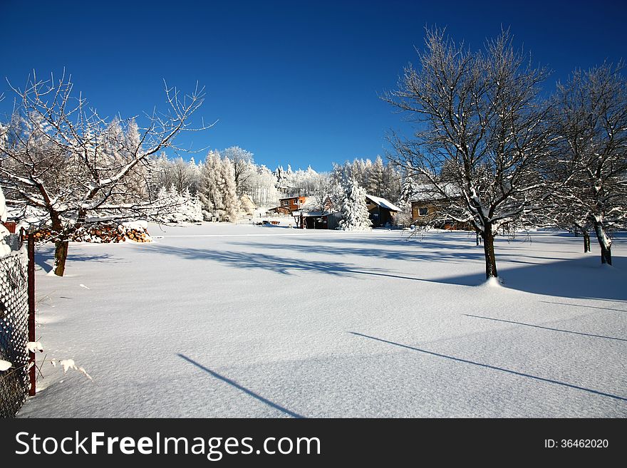 Snow-covered fenced garden, garden in a sunny winter day. Snow-covered fenced garden, garden in a sunny winter day