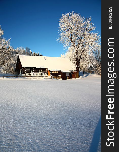 Snowy cottage in winter landscape