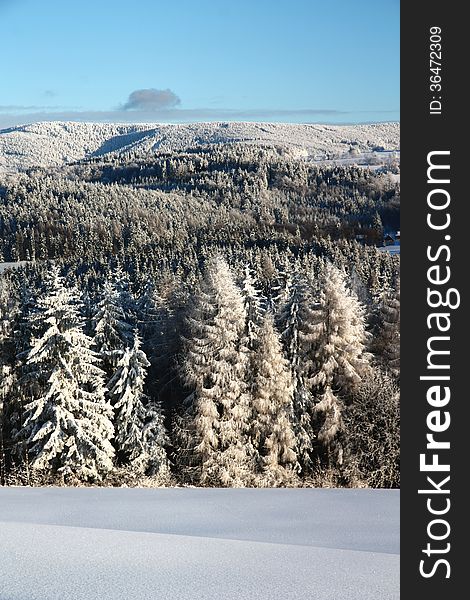 Forest covered with snow, czech mountains. Forest covered with snow, czech mountains