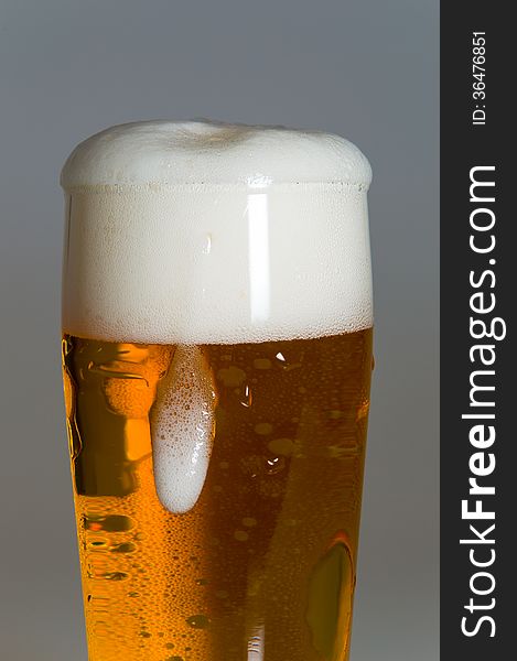 Glass of beer with white foam on white background. Glass of beer with white foam on white background