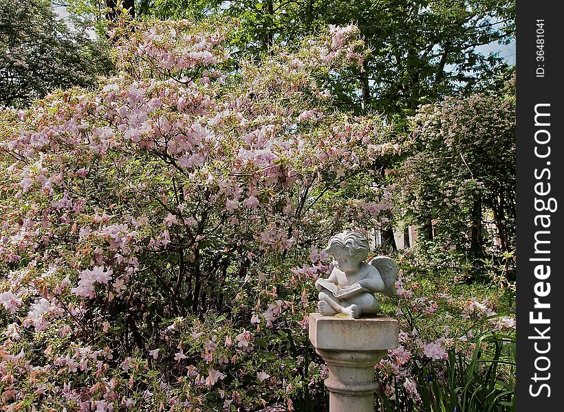 Colorful pink blooming bush and cherub statue garden decorations. Colorful pink blooming bush and cherub statue garden decorations.