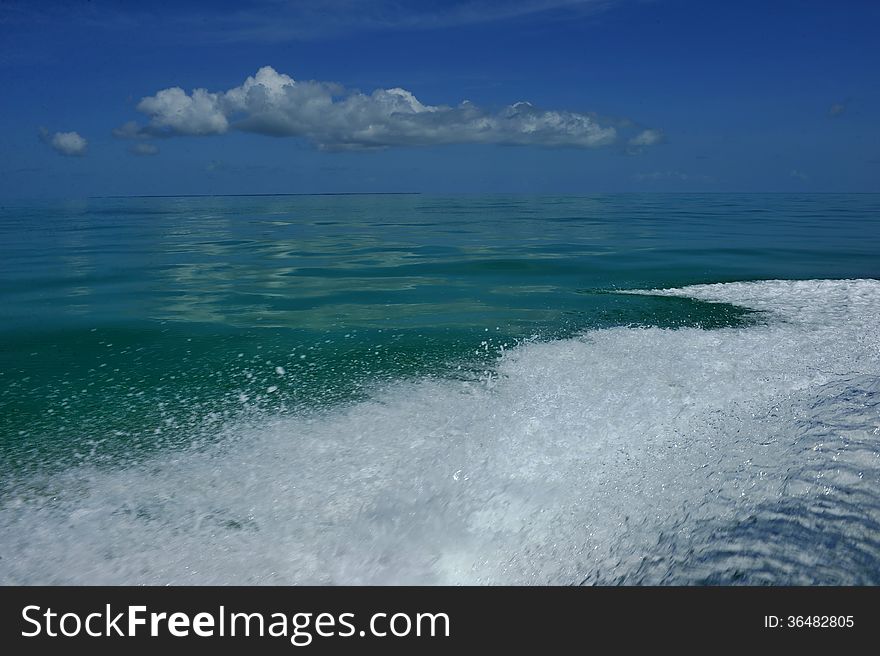 Wave from motor on tropical water. Wave from motor on tropical water