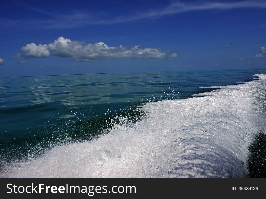 Wave from motor on tropical water. Wave from motor on tropical water